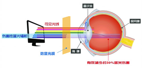 美成最新科技成果 防藍光膜成護眼利器
